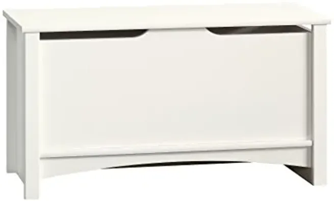 71960-sauder-shoal-creek-storage-chest-toy-storage-chest-for-living-room-storage-trunk-in-soft-white-18-937-1.webp