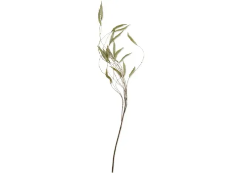 73003-artificial-trailing-catkin-1.webp