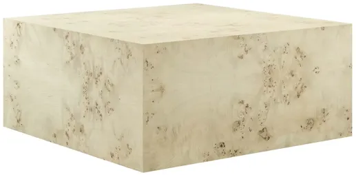74924-cosmos-36-square-burl-wood-coffee-table-by-modway-36-1.webp