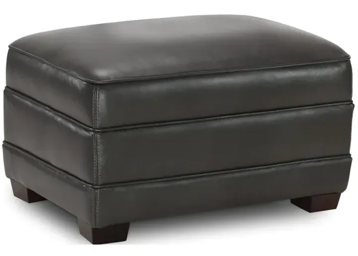 7667-bristol-leather-ottoman-1.webp