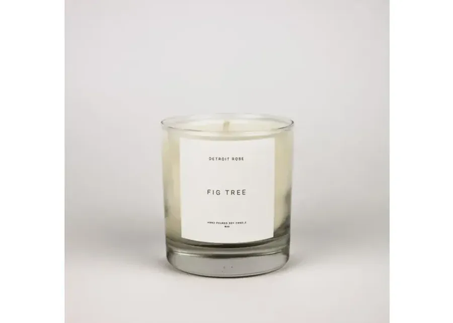 Fig Tree Candle 9 oz.-4