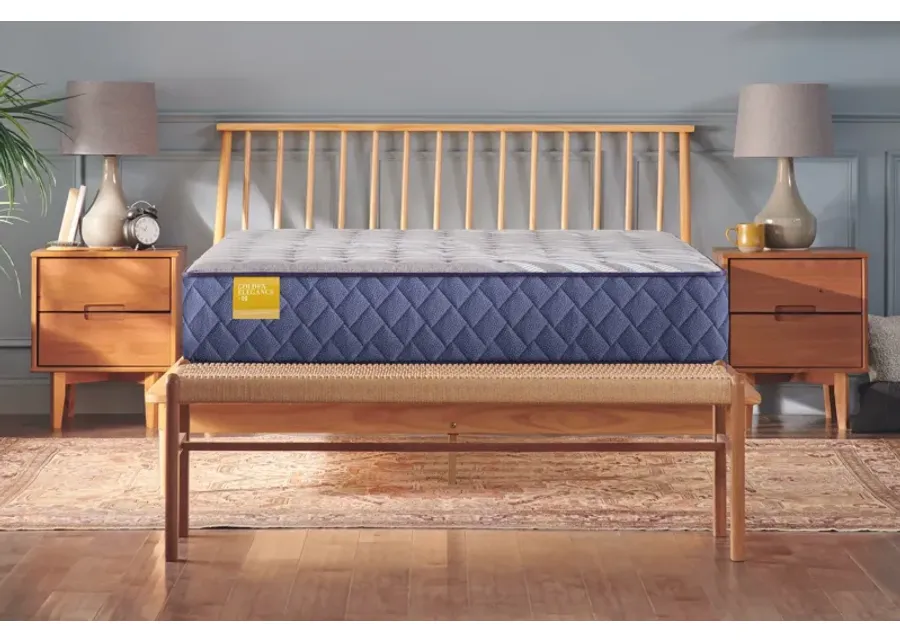 Sealy Featherton Firm Innerspring 12" Queen Mattress-60