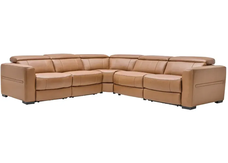 Ford 5-Piece Leather Dual Power Reclining Sectional-117