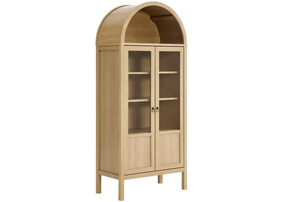 Tessa Tall Arched Storage Display Cabinet-31