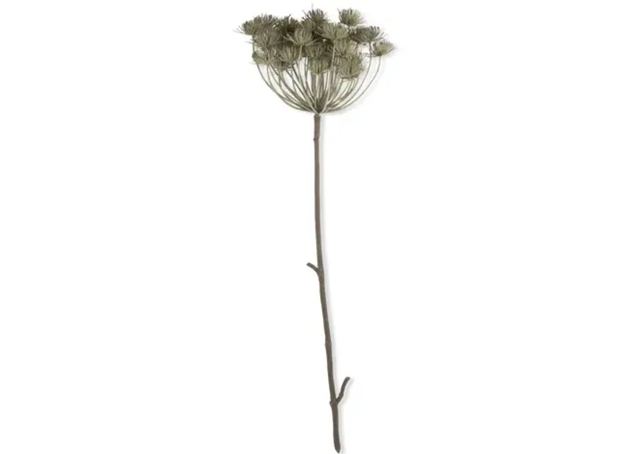 Artificial Angelica Haze