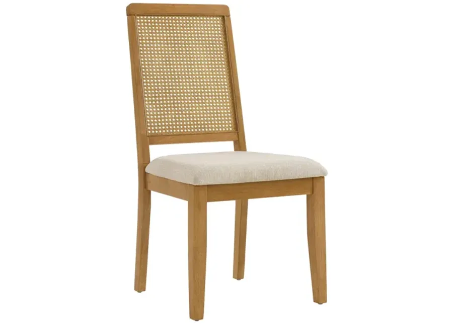 Arlo Faux Rattan and Wood Dining Side Chairs Set of 2 by Modway-19
