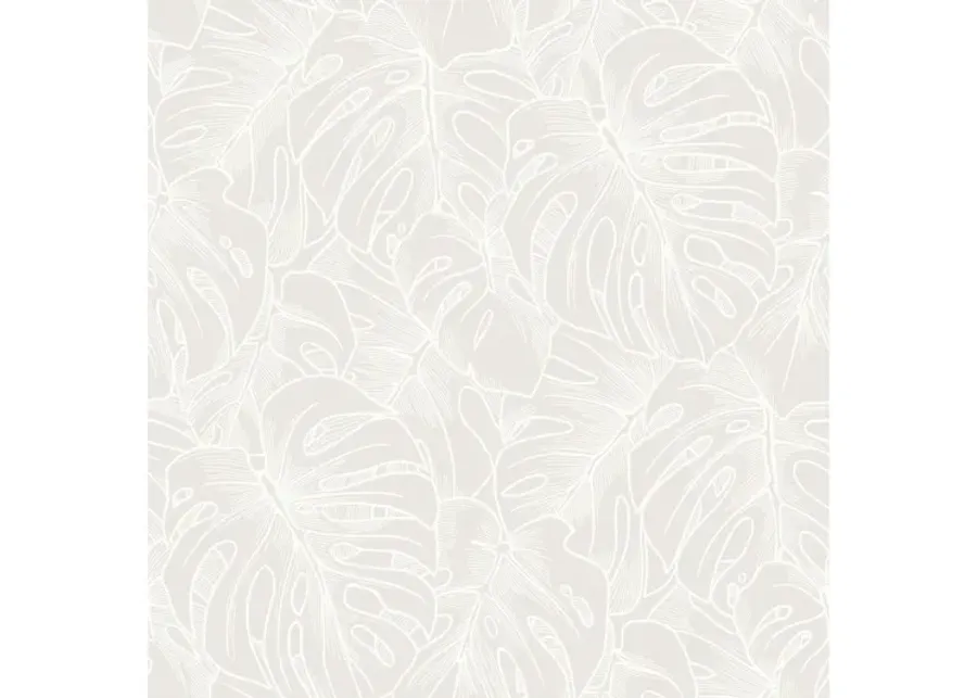 Balboa White Botanical Wallpaper-20
