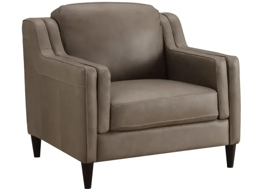 Dino Leather Chair