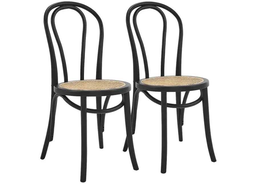 Marko Natural and Black Side Chairs Set of 2-black