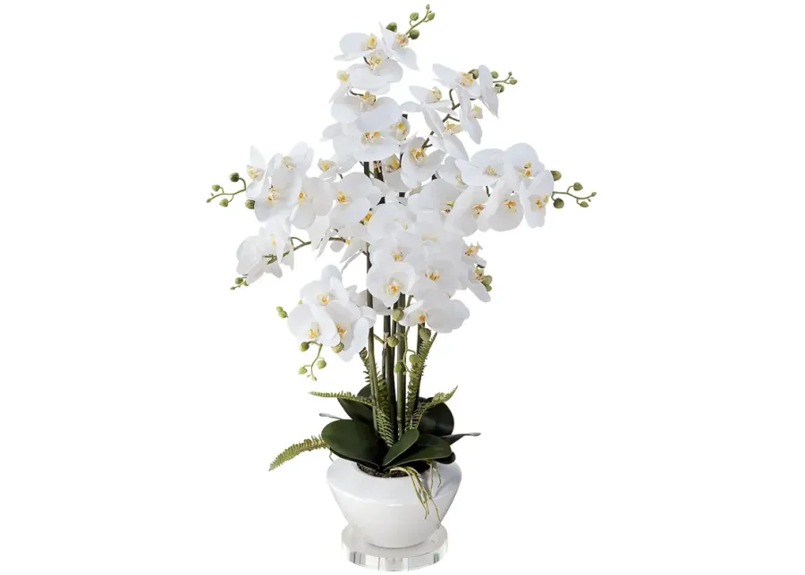 White Phalaenopsis Faux Orchid 29"H With 7" Round Acrylic Riser-green