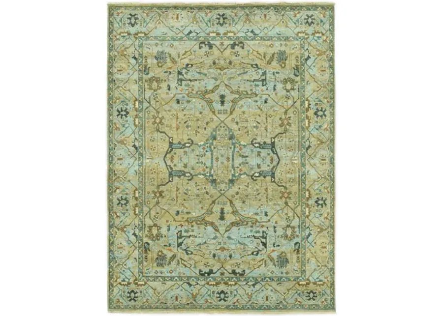 Hand Knotted Area Rug
