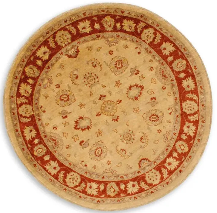 8934-hand-knotted-6-2-x-6-2-round-1.webp