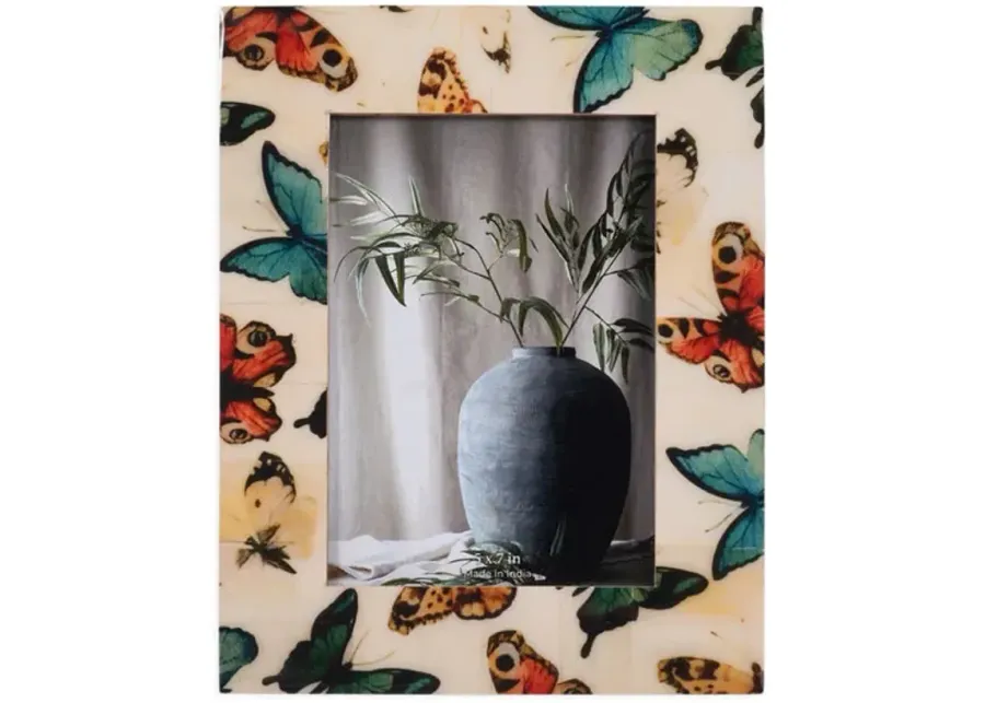 5  X 7  Butterflies Frame