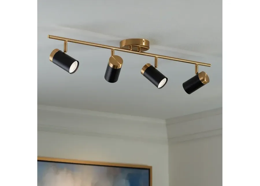 Pro Track 4-Light Black/Gold LED Track Fixture