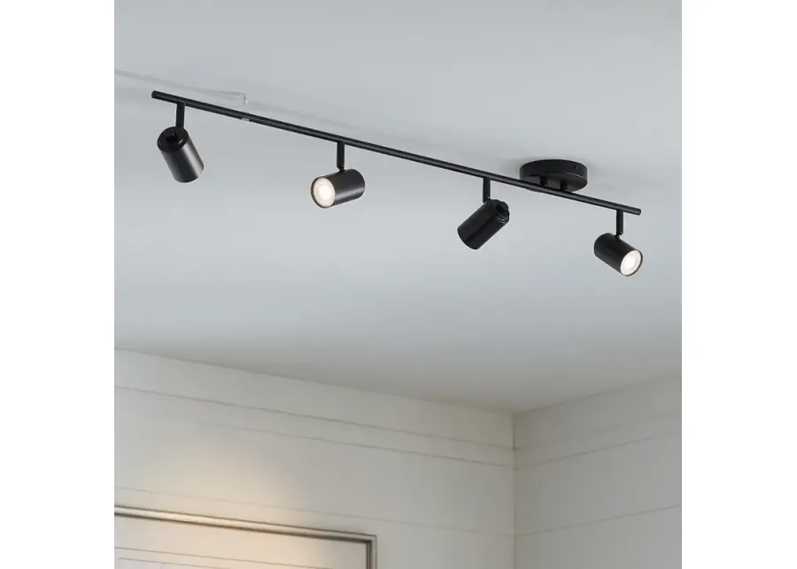 Pro Track Vester 4-Light Black LED Wall or Ceiling Track Fixture-black