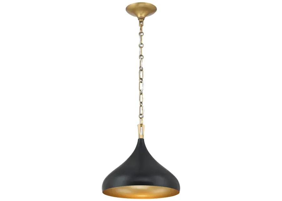 Minka Lavery Cedar Lane 1-Light 12.75-in Brass and Black Pending Lighting-gold