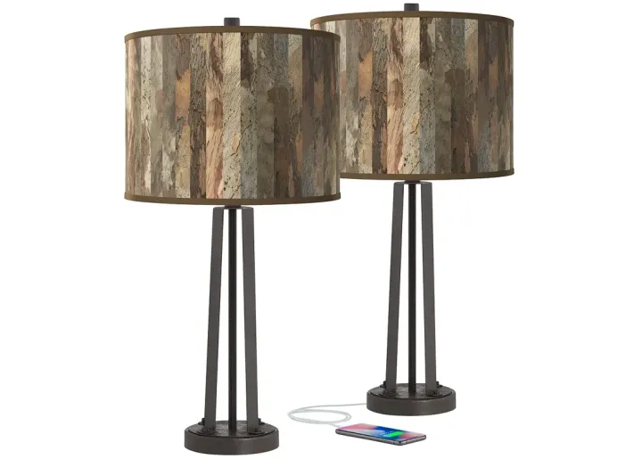 92491-giclee-glow-susan-25-1-2-paper-bark-dark-bronze-usb-lamps-set-of-2-brown-1.webp