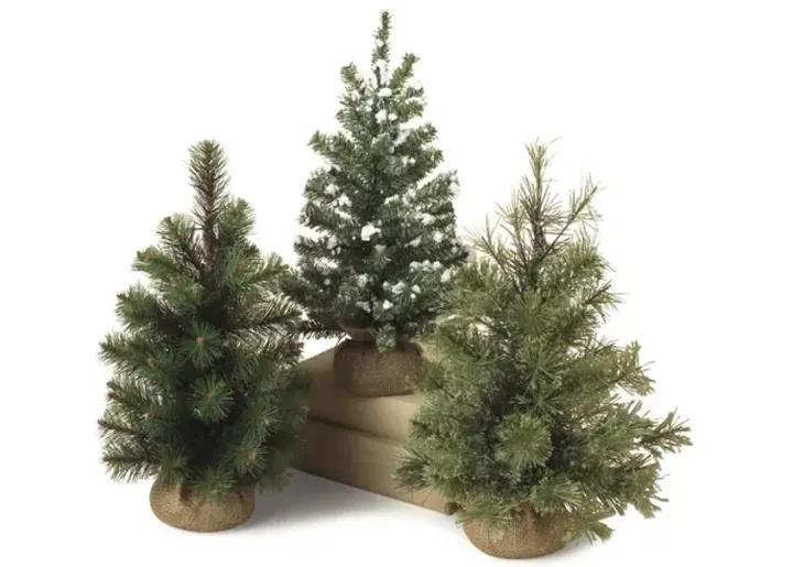 9342-assorted-18-mini-trees-1.webp