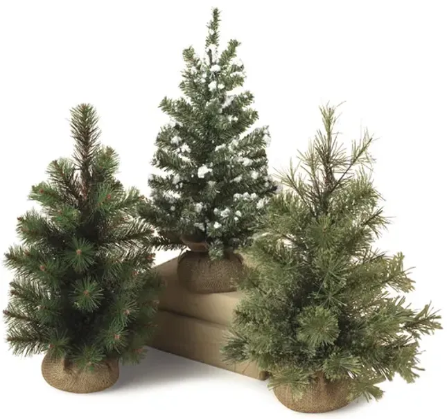 9342-assorted-18-mini-trees-1.webp