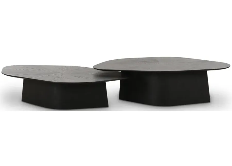 Roche Black Ash Nesting Coffee Table Set-Black