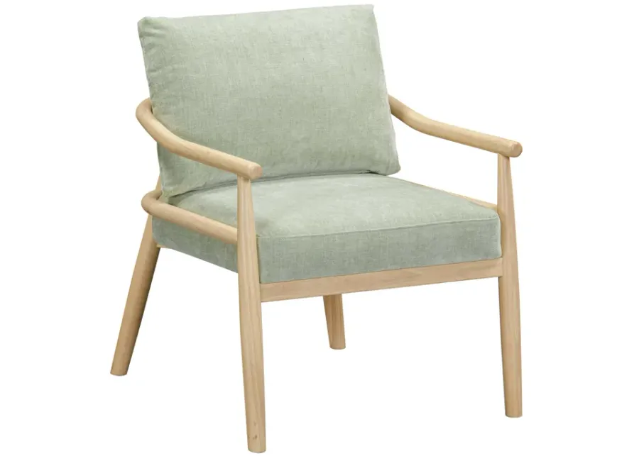 Dixie Mint Green Chenille Velvet Accent Chair-Mint Green