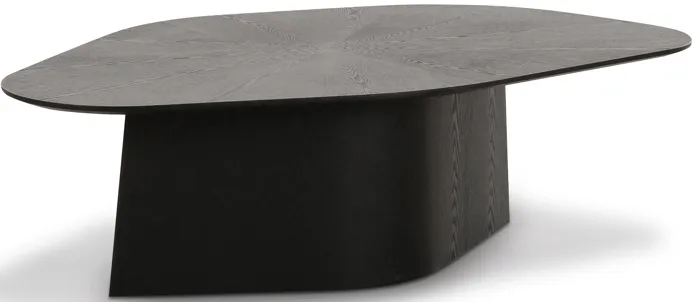 94340-roche-black-ash-geometric-coffee-table-black-1.webp