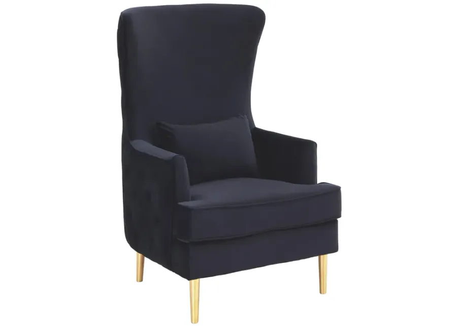 Alina Black Tall Tufted Back Chair-Black