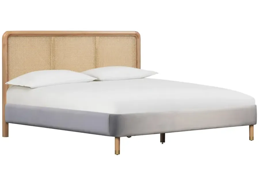Kavali Grey Full Bed-60 1 94639-kavali-grey-full-bed-60-1.webp