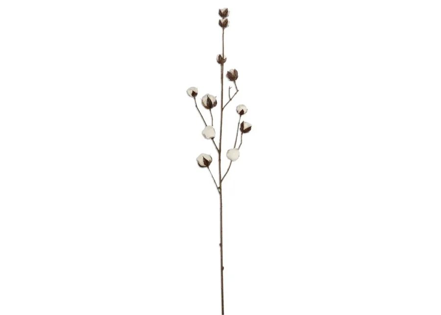 Cotton Spray