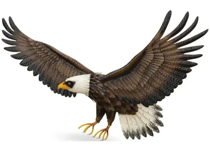 949-eagle-outdoor-wall-art–1.webp
