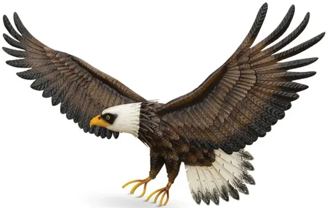 949-eagle-outdoor-wall-art–1.webp