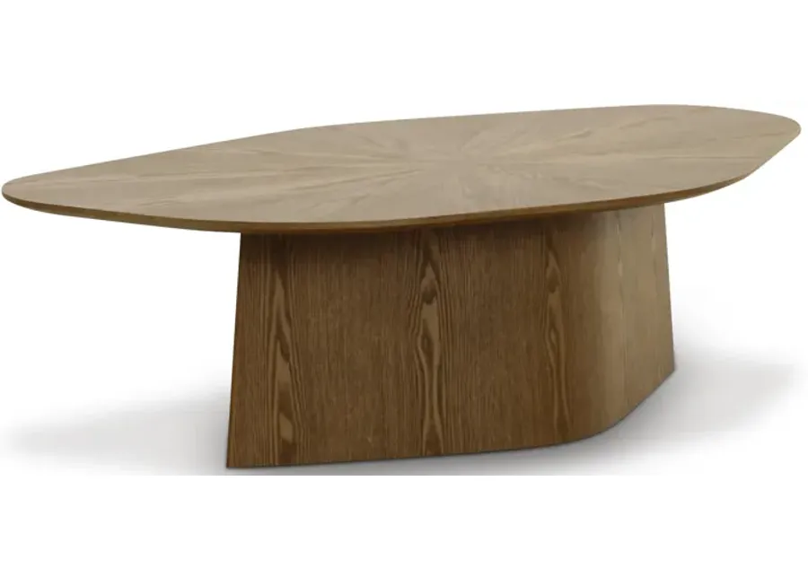 Roche Brown Ash Geometric Coffee Table-Brown