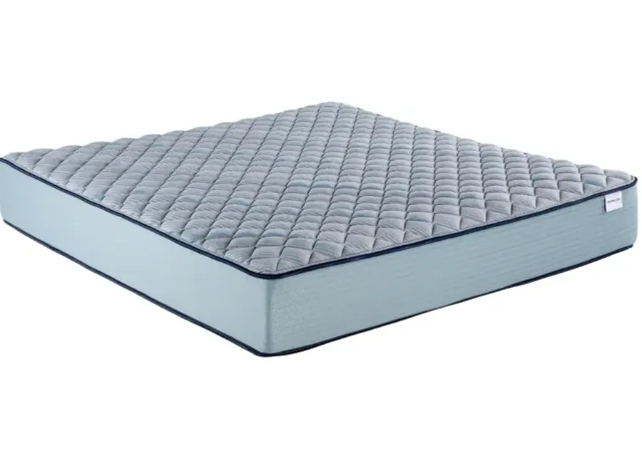 Invigorate Firm Twin XL Mattress