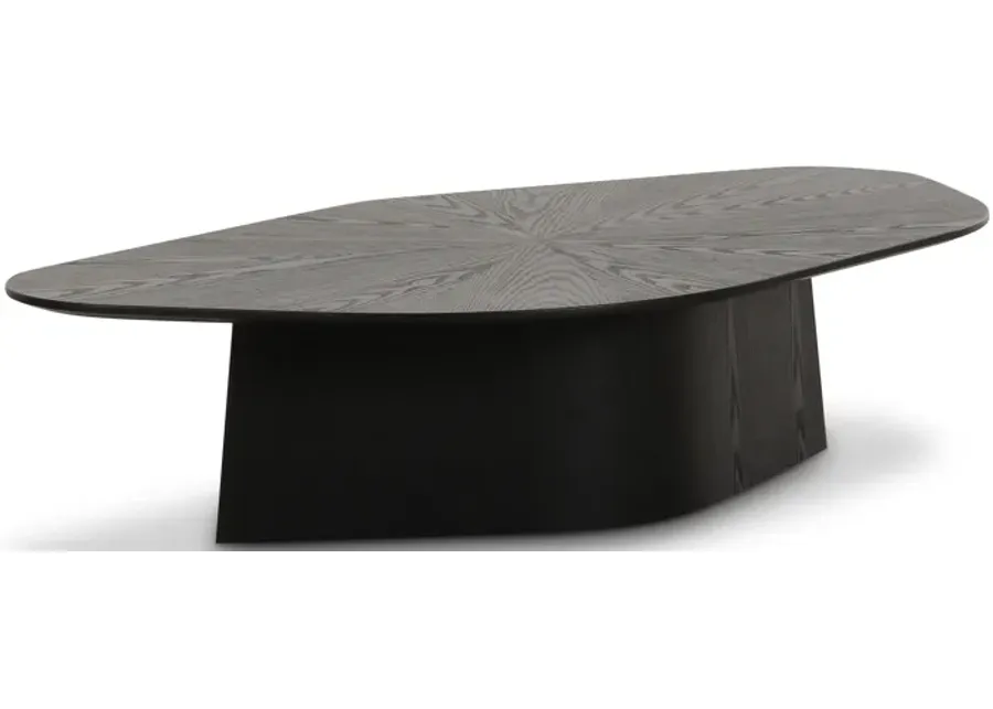 Roche Black Ash Low Coffee Table-Black
