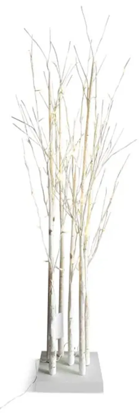 9588-54-birch-forest-warm-white-led-lights-1.webp